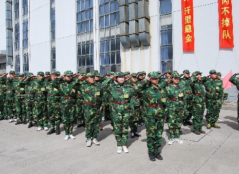 企業(yè)動態(tài)